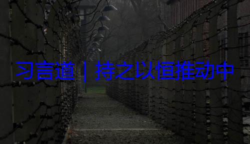 之以恒推动中俄关系高水平发展习言道持